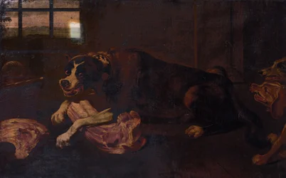 Perros Royendo Trozos de Carne